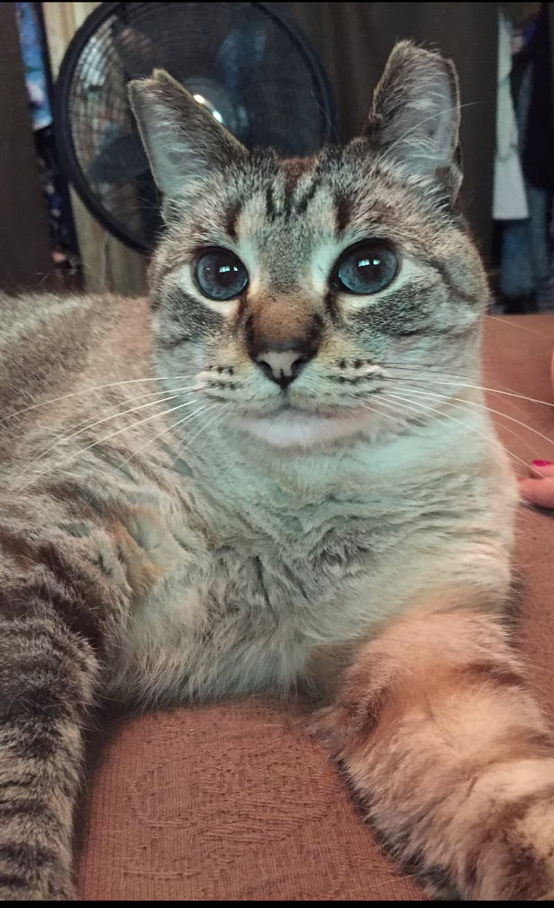 Photo of AoiMe