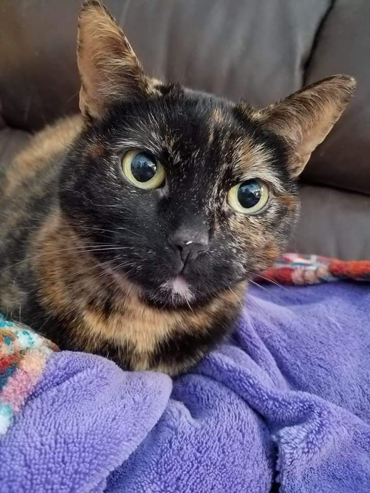 Photo of Ora Jane