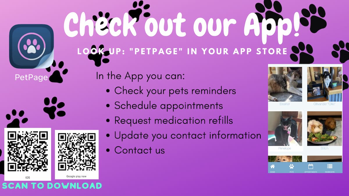 Download PETPAGE from your App Store